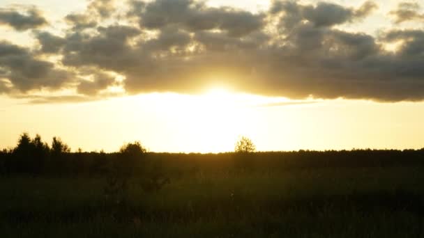 Sunset hyperlapse. The setting sun illuminates the field. — Stock Video