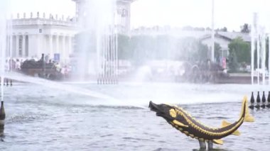 Çeşme balık şeklinde