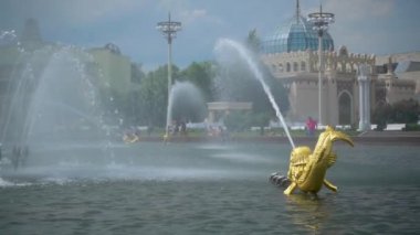 Çeşme Altın balık yavaş çekimde su yüksek bir jet tükürür. Moskova, Temmuz 2019
