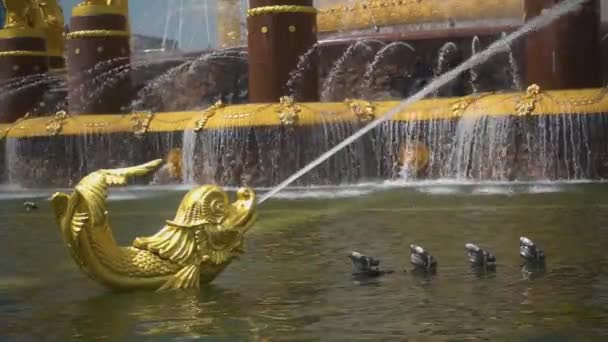 Postać Złotej Ryby Dużej Fontannie Uwalnia Strumień Wody Zwolnionym Tempie — Wideo stockowe