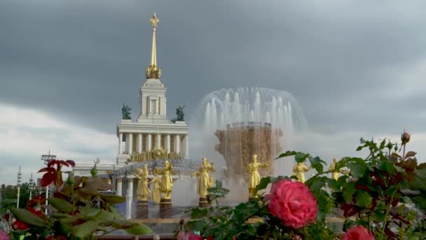 Fontanna Tle Budynku Kolumnami Kwiatem Róży Pierwszym Planie Moskwa Lipiec — Wideo stockowe