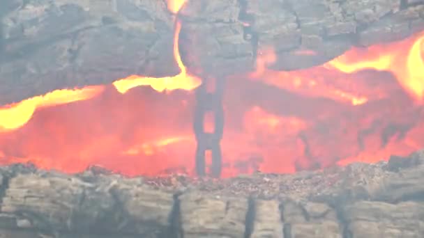 In de hete vlammen van het vuur tussen de boomstammen zie je een metalen ketting — Stockvideo