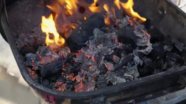In the barbecue fan fan the fire — ストック動画