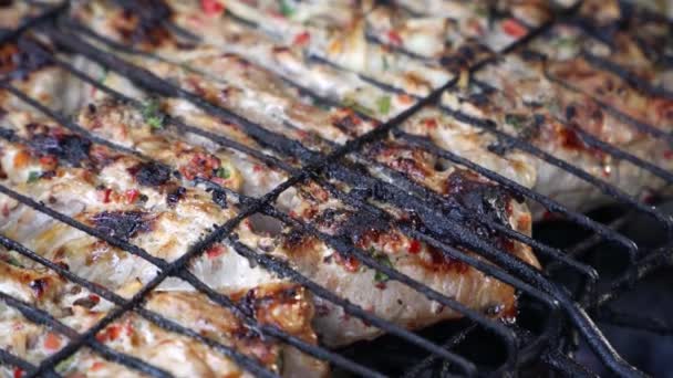 Het vlees wordt geroosterd op een grill op kolen — Stockvideo