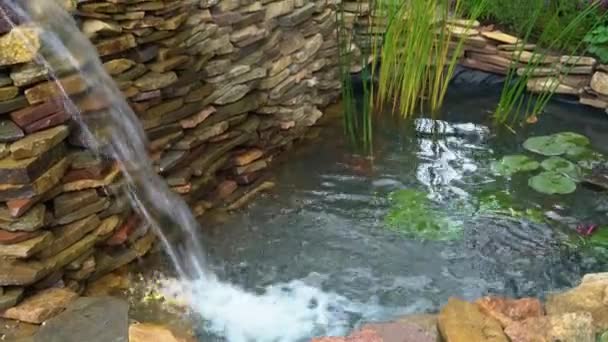 In a small decorative pond pours water jet waterfall — Stock Video