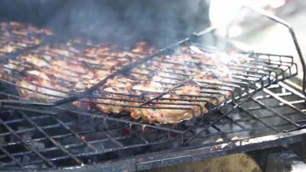 Vlees op de grill wordt geroosterd op de kolen in de barbecue — Stockvideo