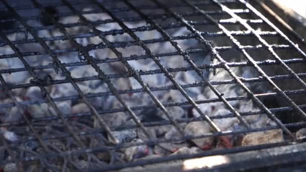 Дым древесного угля вздымается через гриль барбекю — стоковое видео