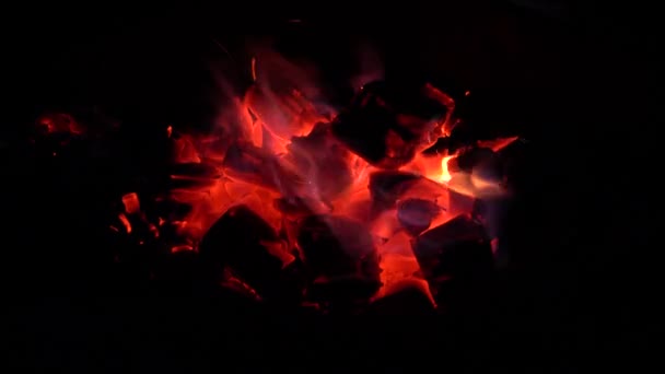 Stukken gloeiend hete kolen branden met een rood-blauwe vlam — Stockvideo