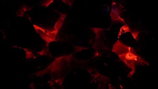 Trozos de carbones calientes arden con una pequeña llama una llama en la oscuridad — Vídeo de stock