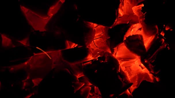 Stücke heißer Kohlen beginnen durch Aufblasen zu glühen — Stockvideo