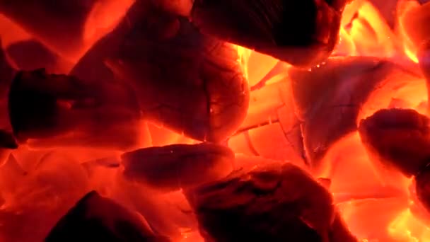 Very hot coals are heated by inflating — Stock Video