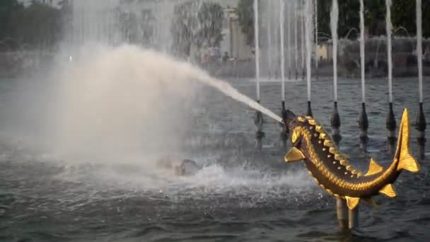 У великому фонтані з фігури риби б'ється потужний струмінь води — стокове відео