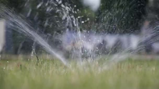 Malá fontánka na trávníku sype vodu — Stock video
