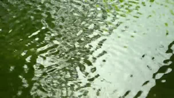 Het groene water in de vijver kabbelt en glinstert met licht — Stockvideo