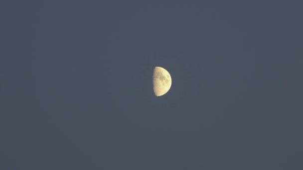 De maan schijnt in de schemerlucht na zonsondergang — Stockvideo