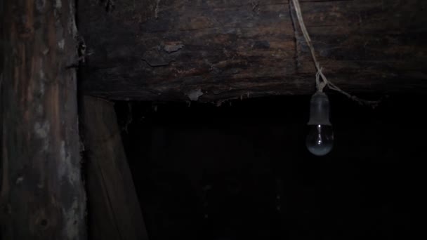 Rundblick in einem dunklen Keller — Stockvideo