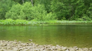 Nehrin sakin akışı kayalık kıyıya yakın.