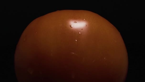Помидор вращается в темноте, освещенный светом над головой с приближением — стоковое видео
