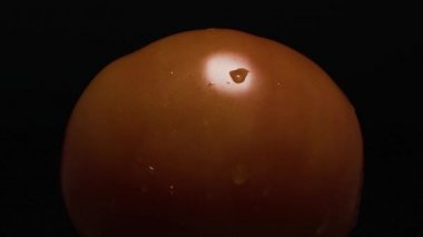 Kırmızı domates karanlıkta döner, yukarıdaki ışıkla aydınlatılır.