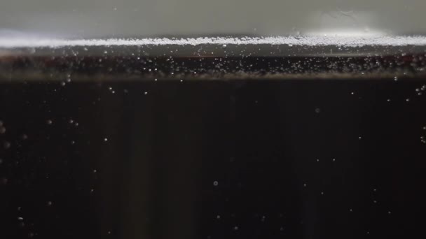Blasen aus kohlensäurehaltiger Cola schwimmen langsam im Glas — Stockvideo