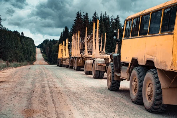 A column of trucks and logging trucks stands on the side of a mountain forest road