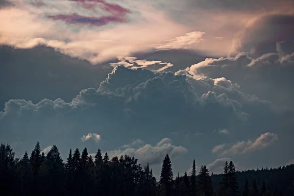 在落日的照耀下 森林上空笼罩着灰色的积云 — 图库照片