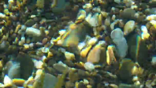 Agua de mar transparente y distorsiona ópticamente el fondo de guijarros — Vídeos de Stock