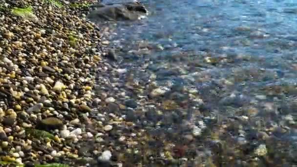 Transparent havsvåg tvättar stenstrand — Stockvideo