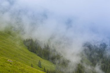 Yaz sahne dramatik sis bulutları ile Avrupa Alpleri'nde