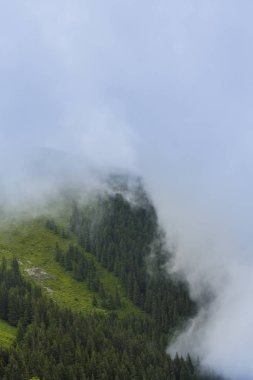 Yaz sahne dramatik sis bulutları ile Avrupa Alpleri'nde