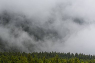 Yaz sahne dramatik sis bulutları ile Avrupa Alpleri'nde