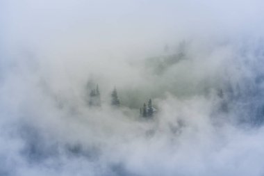Yaz sahne dramatik sis bulutları ile Avrupa Alpleri'nde