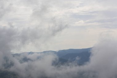 Yaz sahne dramatik sis bulutları ile Avrupa Alpleri'nde