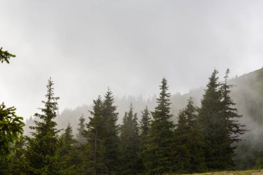 Yaz sahne dramatik sis bulutları ile Avrupa Alpleri'nde