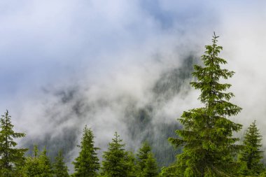 Yaz sahne dramatik sis bulutları ile Avrupa Alpleri'nde