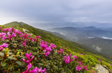 Yaz sahne dramatik sis bulutları ile Avrupa Alpleri'nde