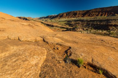 Arches Ulusal Parkı, Utah, parlak güneşli bir günde, kırmızı kumtaşı kaya ve mavi gökyüzü ile sonbahar sahne