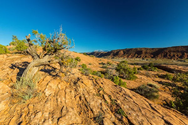 Paisaje Otoñal Parque Nacional Arches Utah Día Soleado Brillante Con Imagen De Stock