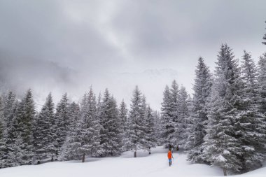 Güzel kış dağ manzarası ile taze kar ve sis bulutları