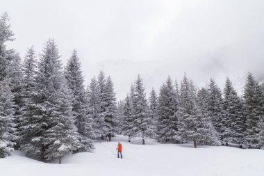 Güzel kış dağ manzarası ile taze kar ve sis bulutları