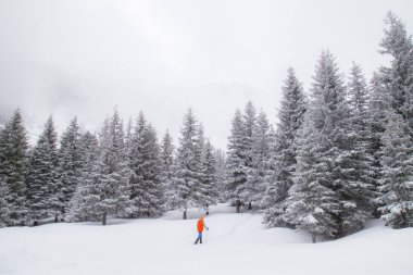 Güzel kış dağ manzarası ile taze kar ve sis bulutları