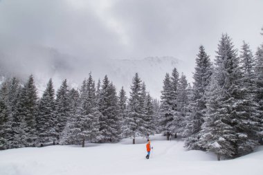 Güzel kış dağ manzarası ile taze kar ve sis bulutları