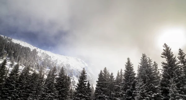 Hermoso Paisaje Alpino Invierno Con Nieve Fresca Nubes Niebla — Foto de Stock