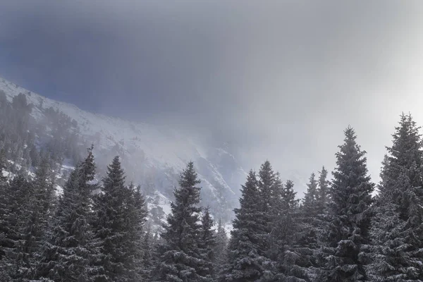 Hermoso Paisaje Alpino Invierno Con Nieve Fresca Nubes Niebla — Foto de Stock