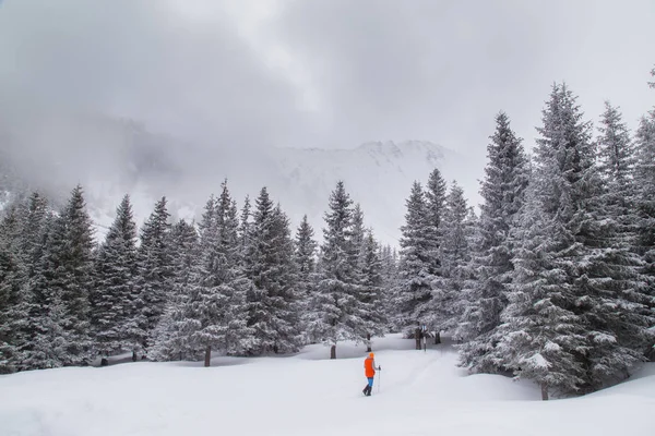 Güzel kış dağ manzarası ile taze kar ve sis bulutları