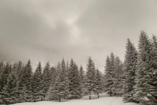 Bela Paisagem Alpina Inverno Com Neve Fresca Nuvens Névoa — Fotografia de Stock