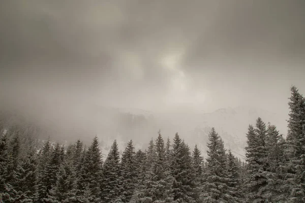 Bela Paisagem Alpina Inverno Com Neve Fresca Nuvens Névoa — Fotografia de Stock