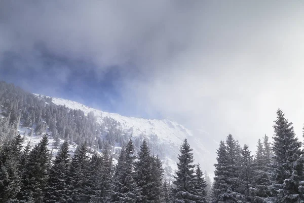 Cenário Dramático Inverno Nas Montanhas Com Neve Fresca Névoa Luz — Fotografia de Stock