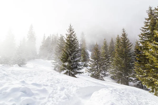 Dramatyczne Zimowej Scenerii Górach Świeży Śnieg Mgła Piękne Światło — Zdjęcie stockowe