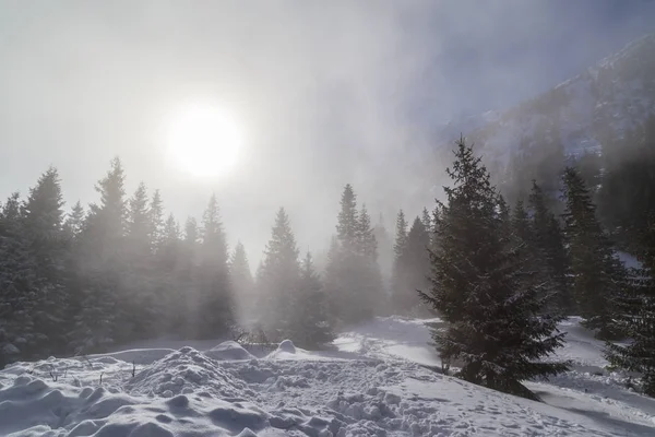 Paisajes Invierno Las Montañas Con Nieve Fresca Bosque Abetos Día — Foto de Stock